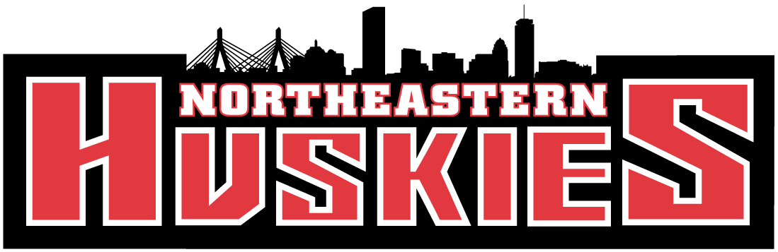 Northeastern Huskies 2001-Pres Wordmark Logo v2 iron on transfers for clothing